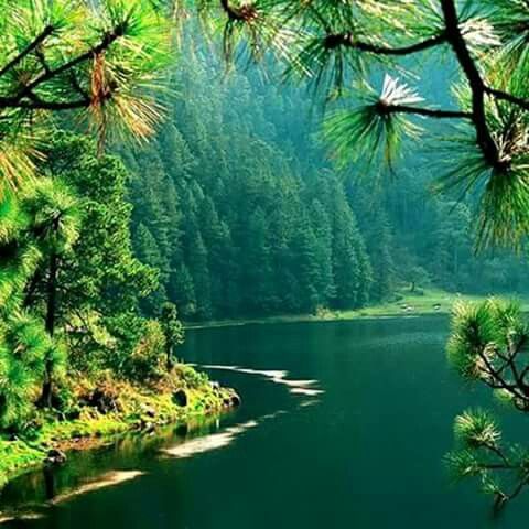 5500f80507cf511df29c5fc548a37ad6