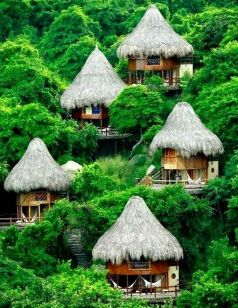 2c648d7c09282ffd7fd41967be83ca96