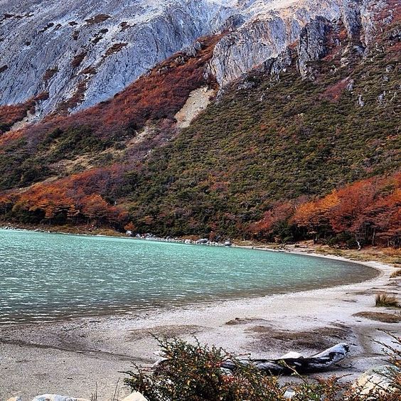 724f79b8f71a853ba2bcf36f3a26646e