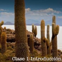 Cactus_Clase 1.jpg