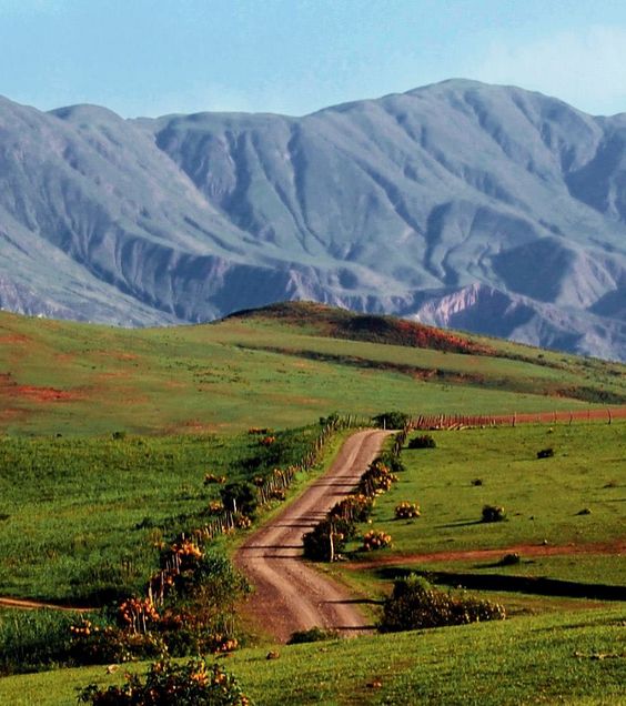 73f5eae7883dee934b994d217f651cea