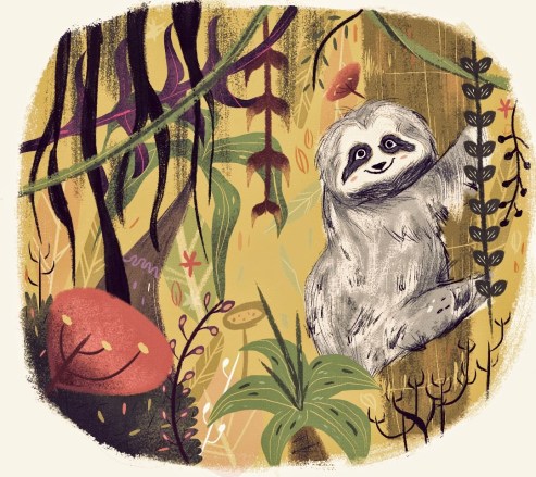 oso-perezoso_juliana-cuervo_web