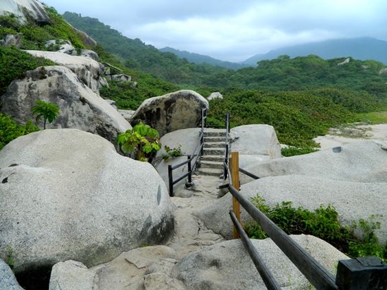 d7140625124446fdcedb298693b99f2e