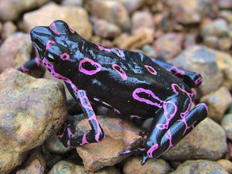 a400654aea737b500c5c4bddd0e6eb03