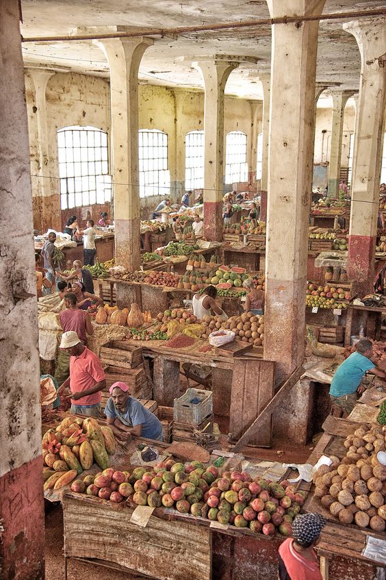 2dec3b74296a211a95c02adf7cb3ed35