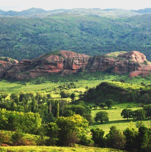 9869870691edd8f399add43813819da5